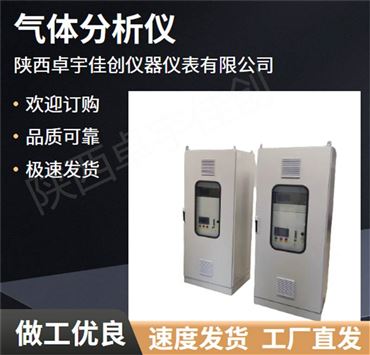防爆型红外线气体分析仪（不分光式红外 线 气体 分析仪）