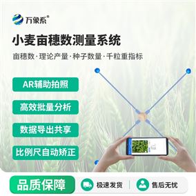小麥畝穗數測量系統