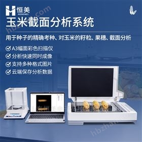 玉米截面分析系統水稻果穗籽粒分析千粒重儀
