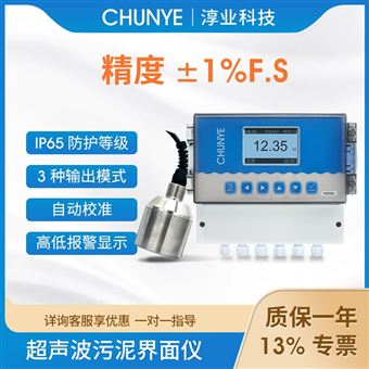 W8500J淳業(yè)在線超聲波泥水界面儀