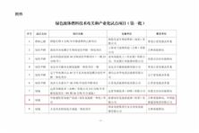 入選！國家能源局第一批綠色液體燃料試點項目