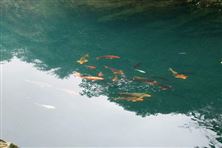 南沙發(fā)布指引，建筑工地生活污水治理有了新路徑！