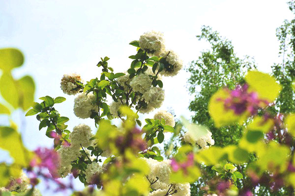 河南省印發(fā)工業(yè)綠色低碳先進工藝技術(shù)裝備推廣目錄