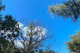 2026年度消耗臭氧层物质和氢氟碳化物生产、使用和进口配额核发情况公示