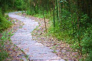 滁州市明光市坚持“生态立市”擦亮“生态底色”