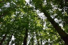 《鹽堿地微生物改良技術(shù)指南與成效評估》團(tuán)體標(biāo)準(zhǔn)立項(xiàng)評審會順利召開