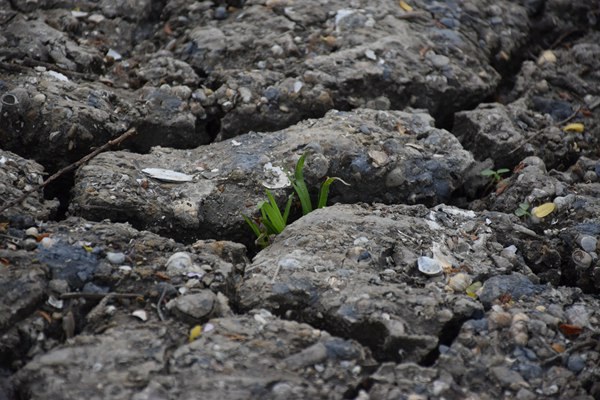 《重慶市危險(xiǎn)廢物豁免管理指南》發(fā)布！