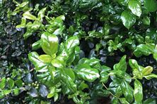 宣城市“十四五”治污攻堅(jiān)重大工程建設(shè)成效亮眼