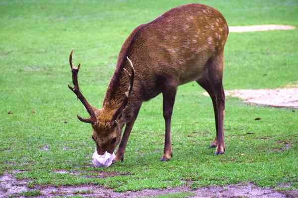《上海市生物多樣性體驗(yàn)中心建設(shè)導(dǎo)則（試行）》印發(fā)