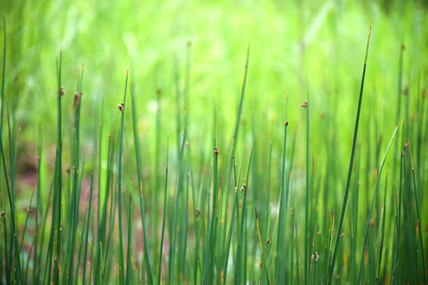 杭州“十五五”規(guī)劃建議出爐 加快建設(shè)更高水平美麗杭州