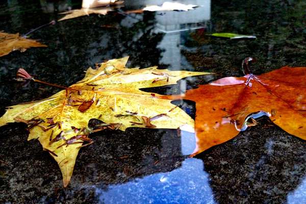 智慧水務(wù) | 上海市政總院2個項目入選住建部典型案例