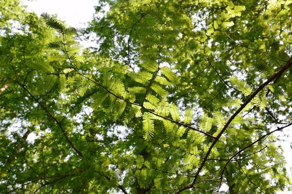 科技成果转化十大案例 | 技术许可多元合作,推动涂料废渣资源化降本增效