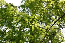 科技成果转化十大案例 | 技术许可多元合作，推动涂料废渣资源化降本增效