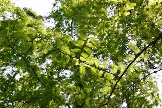 �Ƽ��ɹ��D(zhu��n)��ʮ���� | ���g(sh��)�S�ɶ�Ԫ�������Ƅ�(d��ng)Ϳ�ϏU���YԴ��������Ч