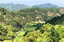 全文！2026年安徽省委一號(hào)文件公布 將推進(jìn)鄉(xiāng)村生態(tài)保護(hù)