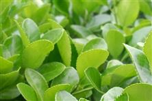 2026年5月1日起施行！李強簽署國務(wù)院令 公布修訂后的《全國農(nóng)業(yè)普查條例》