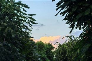 深圳新添“環保智慧哨兵”！全國首個污染源智慧監測實驗室進入試運行