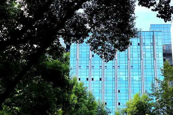中国资环：相关主体冒用公司名义进行市场主体登记，均为假冒央企