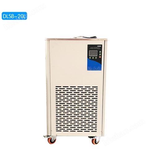 DLSB-20L/10~120℃低溫泠卻液循環(huán)泵