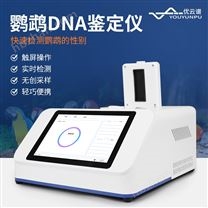 鸚鵡公母檢測儀