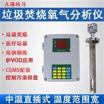 氧化鋯氧分析儀直插式氧探頭檢測煙道氧含量