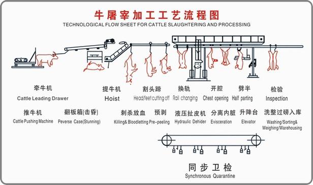 生物滴濾塔牛羊待宰屠宰車間廢氣治理.jpeg