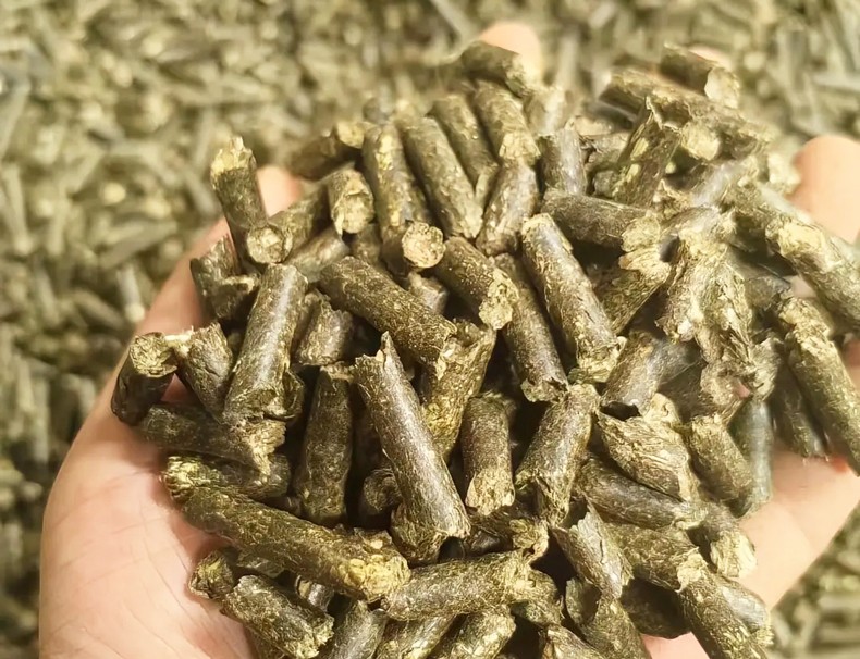 飼料.jpg 飼料.jpg