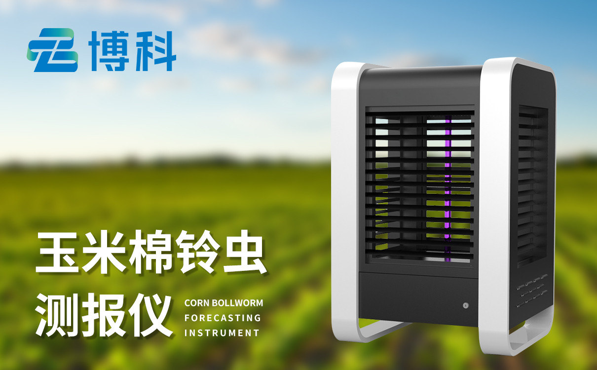 玉米棉铃虫测报仪 玉米棉铃虫测报仪