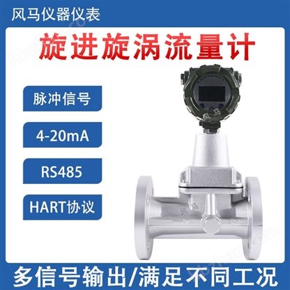 旋进漩涡流量计气体测量蒸汽燃气石油化工